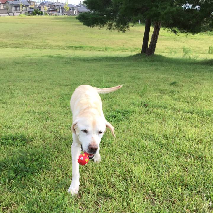 7deac820 d9b1 4078 9c9f f45528b09c70