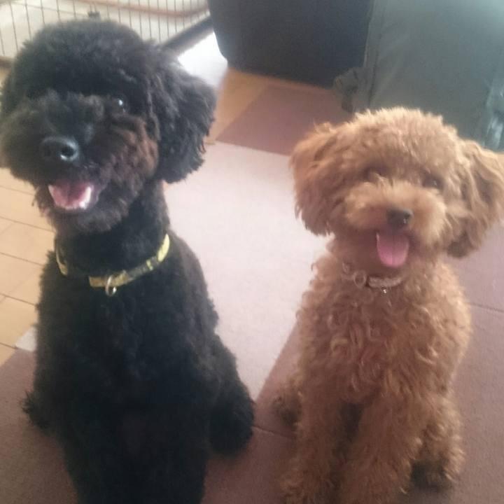 7deb27de bc11 4474 9d79 37532fc7e753