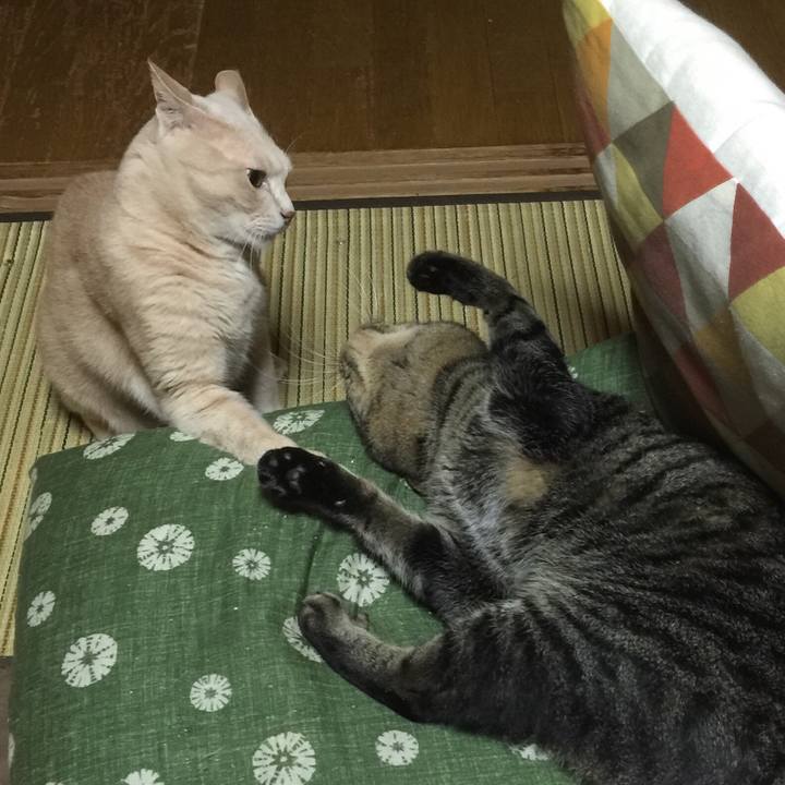 7deba514 0dc3 4fc6 abb8 c38dbc389f36