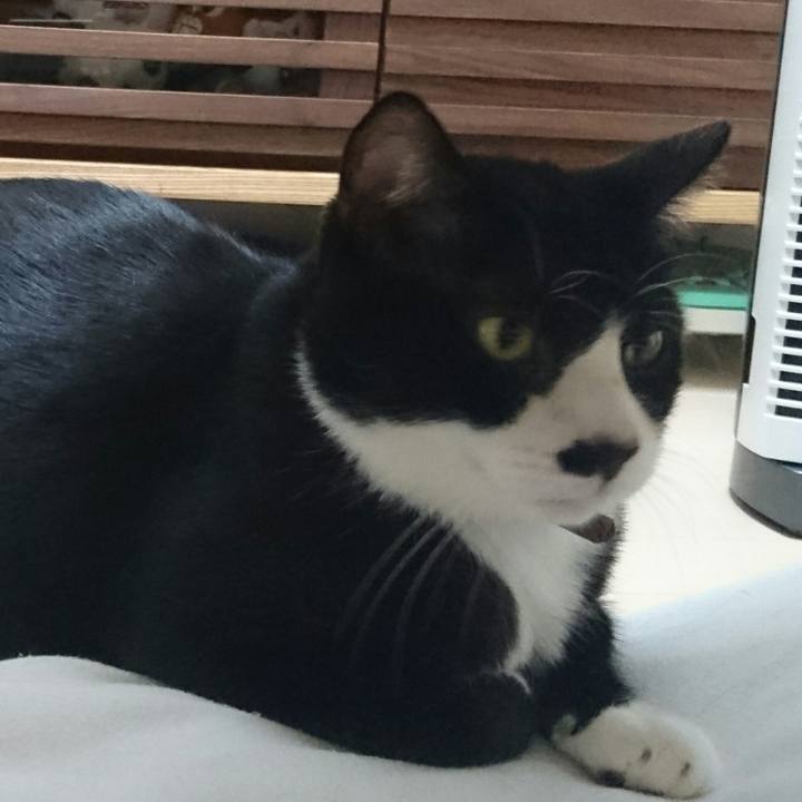 7debecc7 9c00 41ac bb2b 574a9cfb8670