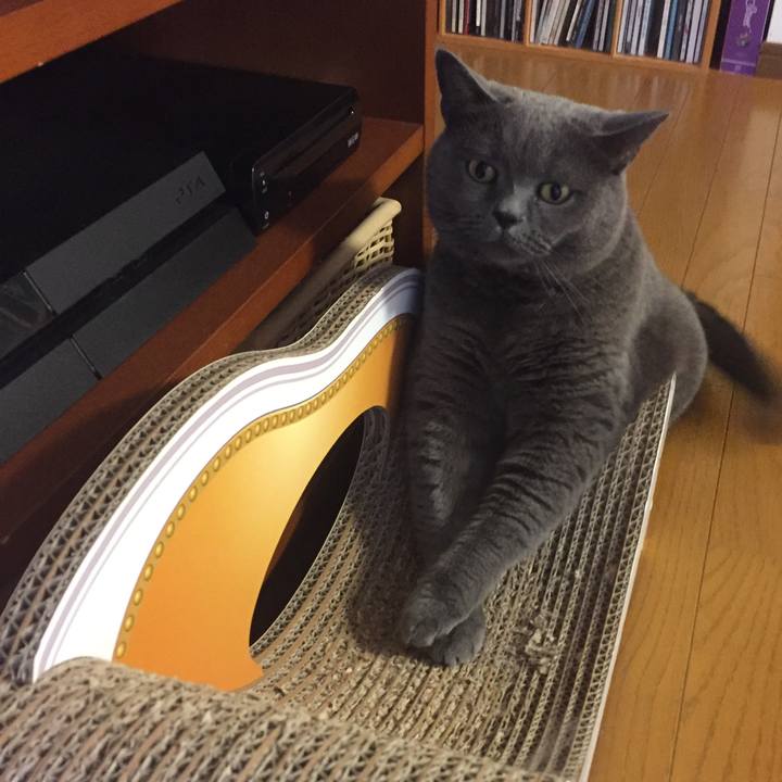 7debf069 362a 489f a018 4f7f7a74a746