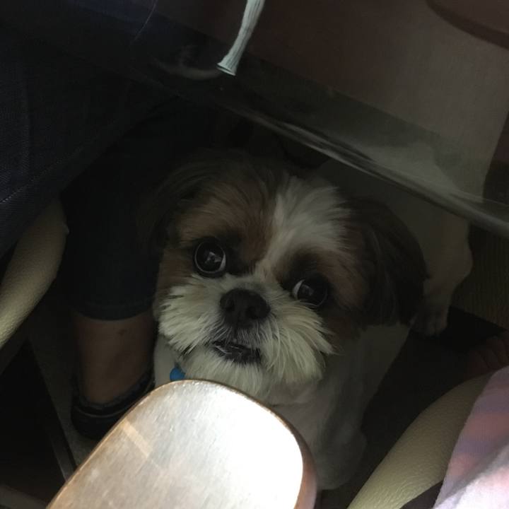 7dec4b5d 7e4f 4485 b521 0d3930c86e86