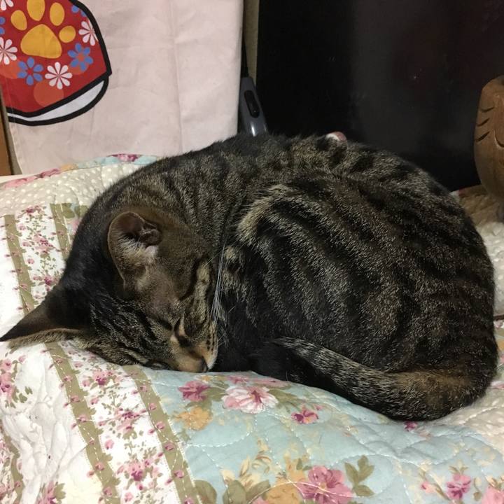 7ded2056 43e3 47cf bc9a f0cdc2818f0d