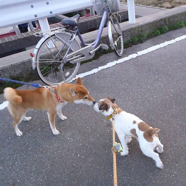 7dee9cf0 6df9 4c88 92fa d875275c40d4