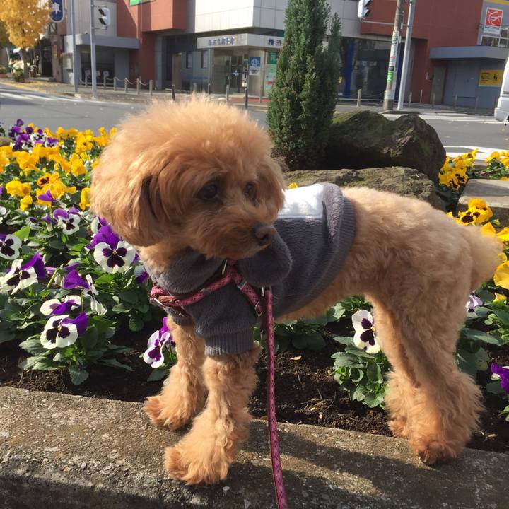 7deee4bb 9d64 44b4 b378 a687480759cc