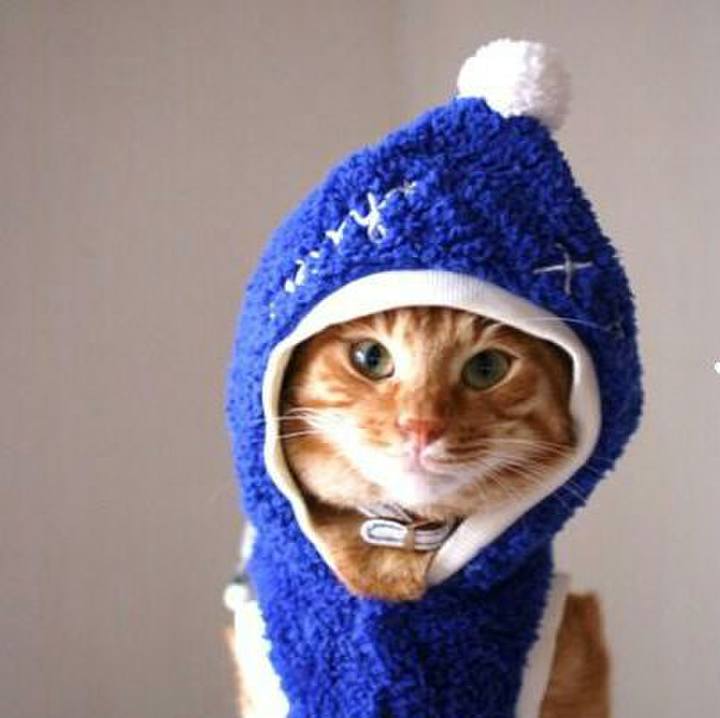 7df05659 4fac 44eb aa9d dcde82f35d86