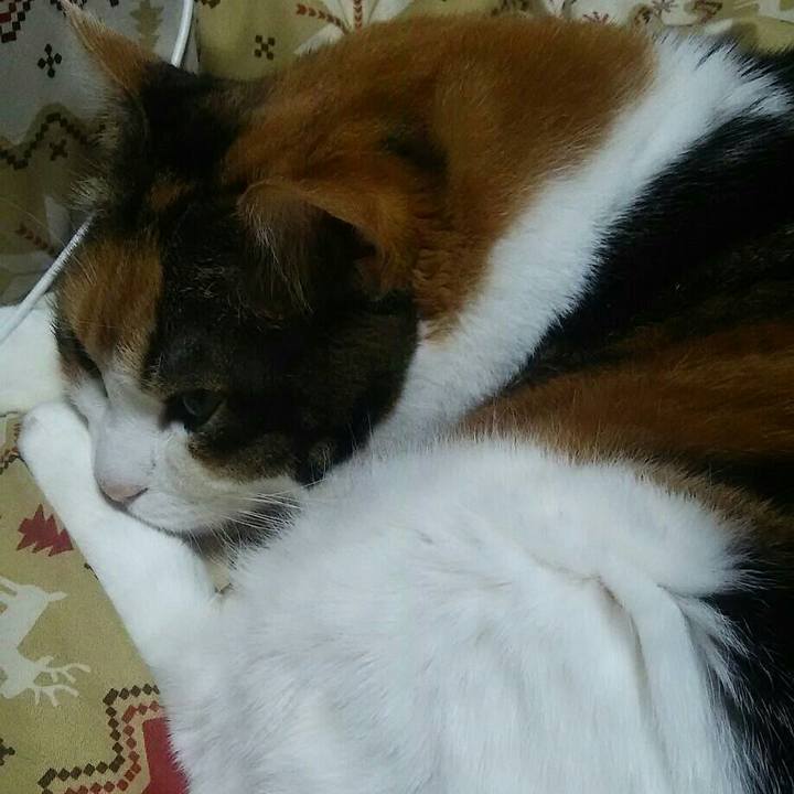 7df09676 caf2 475c a658 e496b4a5a723