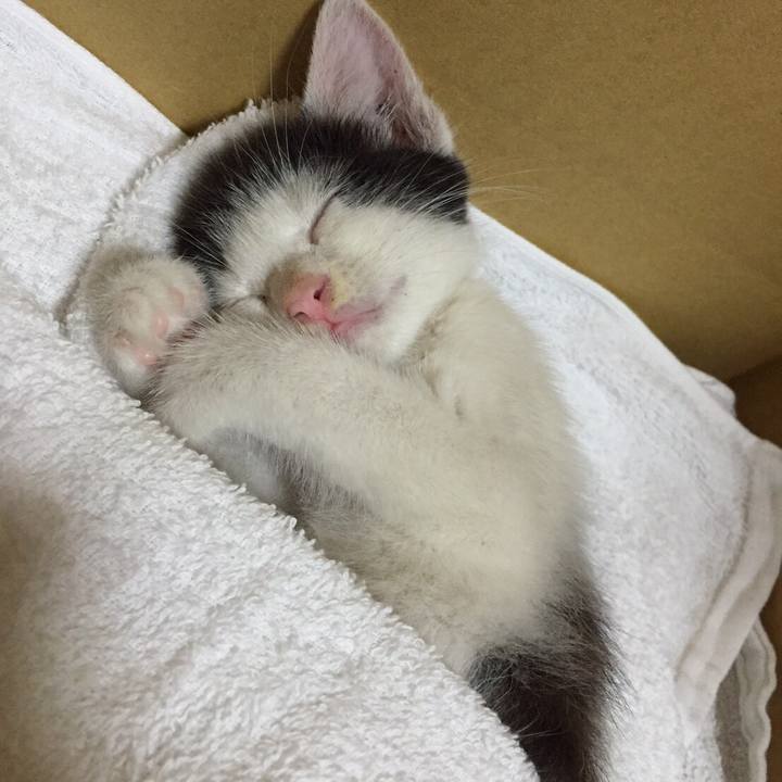 7df09b45 a9ad 44bd a2bc 5078dd481c61