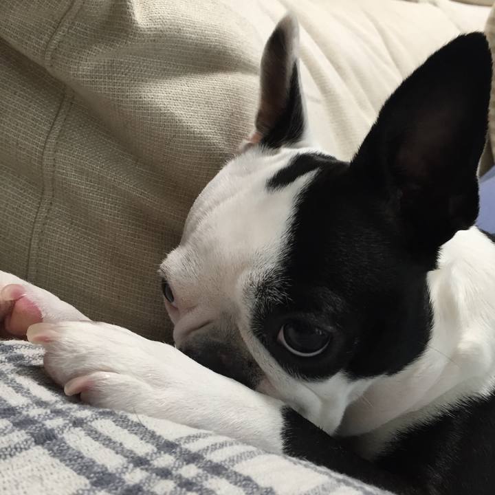 7df1121e e906 44f0 b884 518982bbfaf9