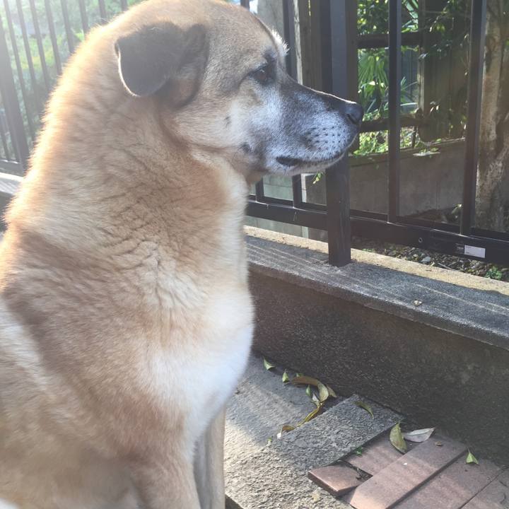 7df14c09 efad 4f5f b745 65ee516a5711