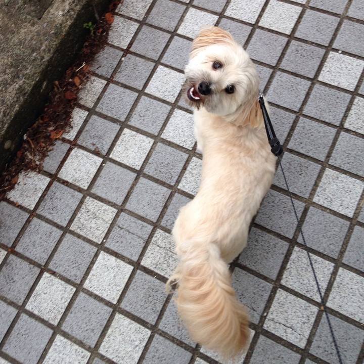 7df15aca f128 4071 beea 415064d32b64