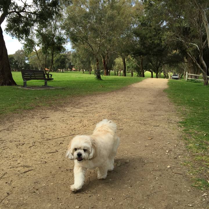 7df1be9b cd36 46eb bc66 010694ec251a