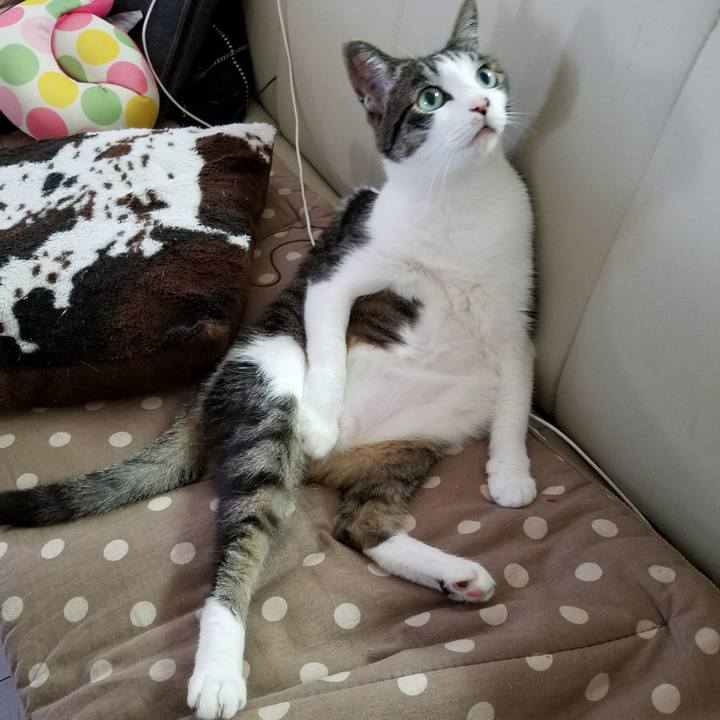 7df1f63e 44cb 4ff7 a46a 223ceee9ab0a