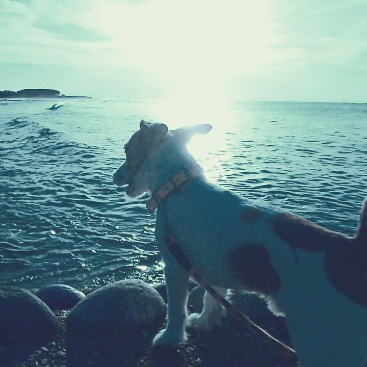 7df2062b 310f 43c5 a24c 065e45c7143b