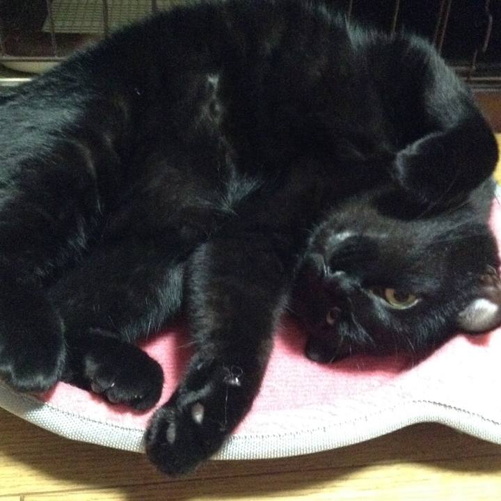 7df3219c 6c03 4775 9fc6 b3ee4f8025c2