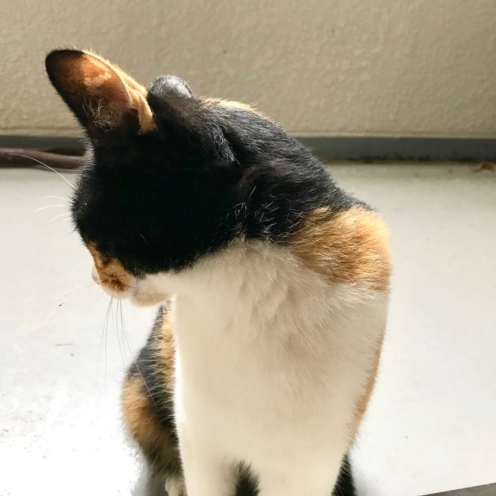 7df3a3de 355f 4030 a1a7 39c852cf9886