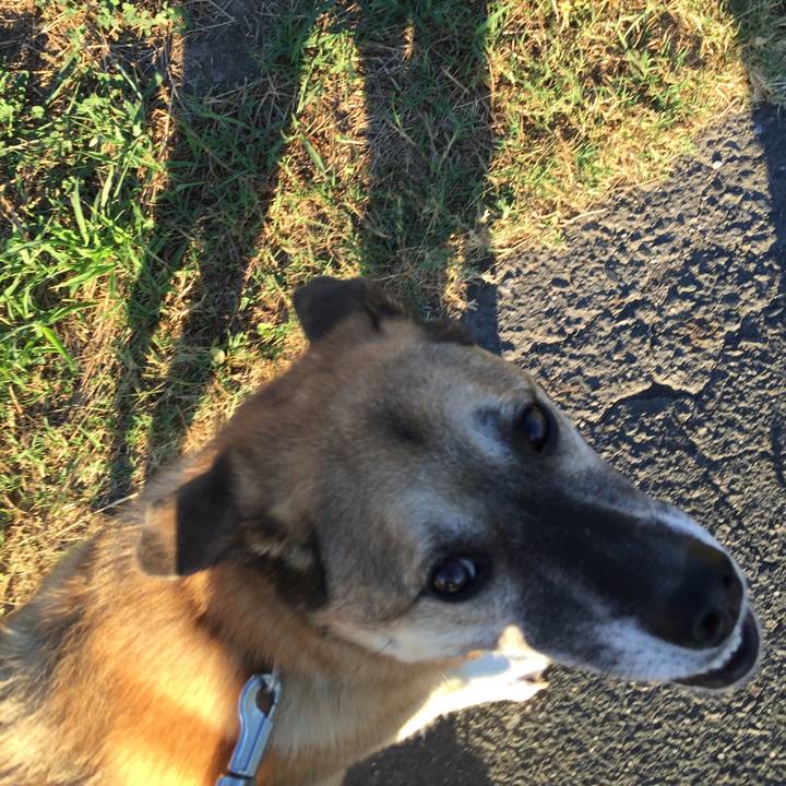 7df3c0b9 16af 47f1 9de5 2cf5c0507846