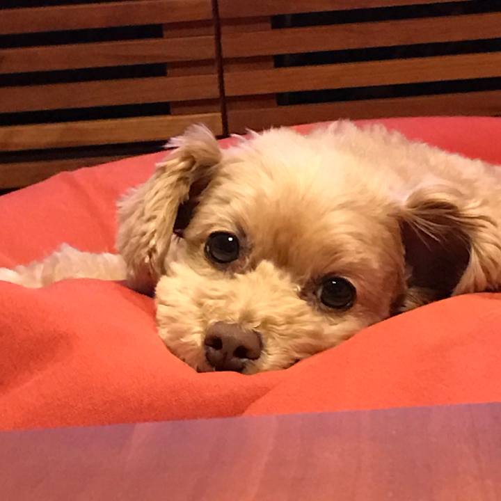 7df46ad5 469b 4cb6 a75a e5eb7060bad7