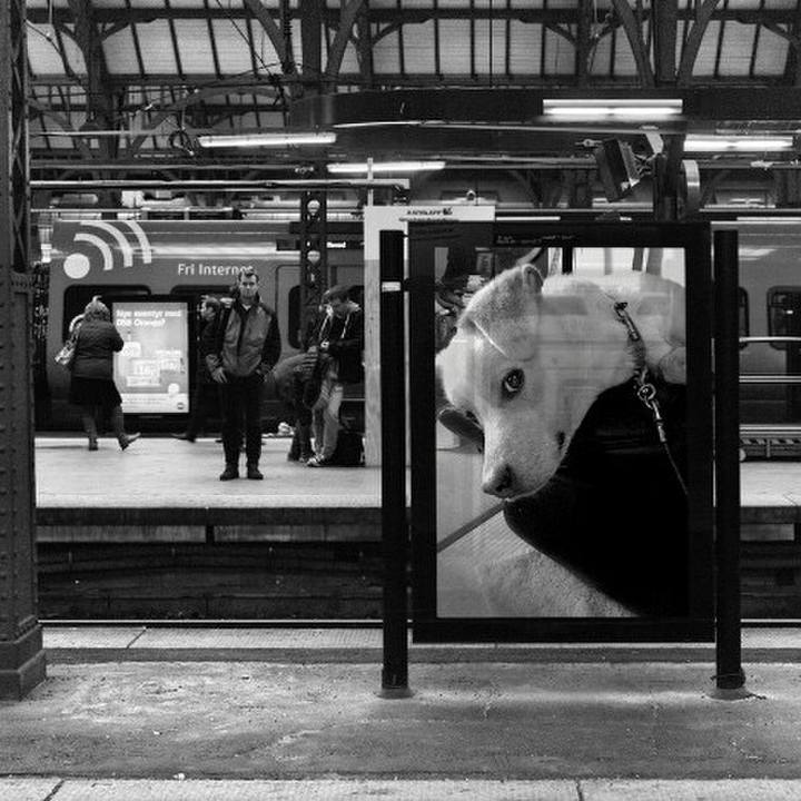 7df4f9e4 6af5 417b 8537 c4825458ce73