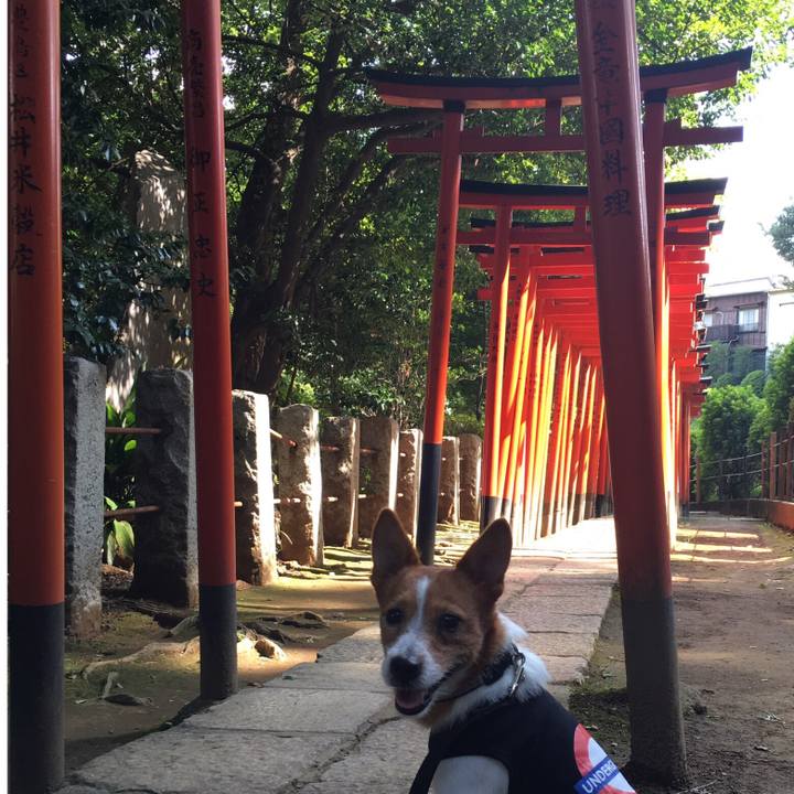 7df5e723 88d1 4e89 b299 5dc4461dd3a4