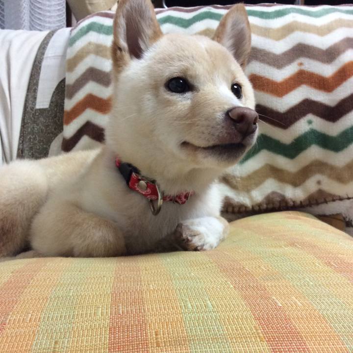 7df61d49 5cd9 46d6 a844 494778f8bbe1