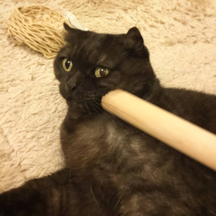 7df6371c 858a 4b18 b8ee e271893b9601