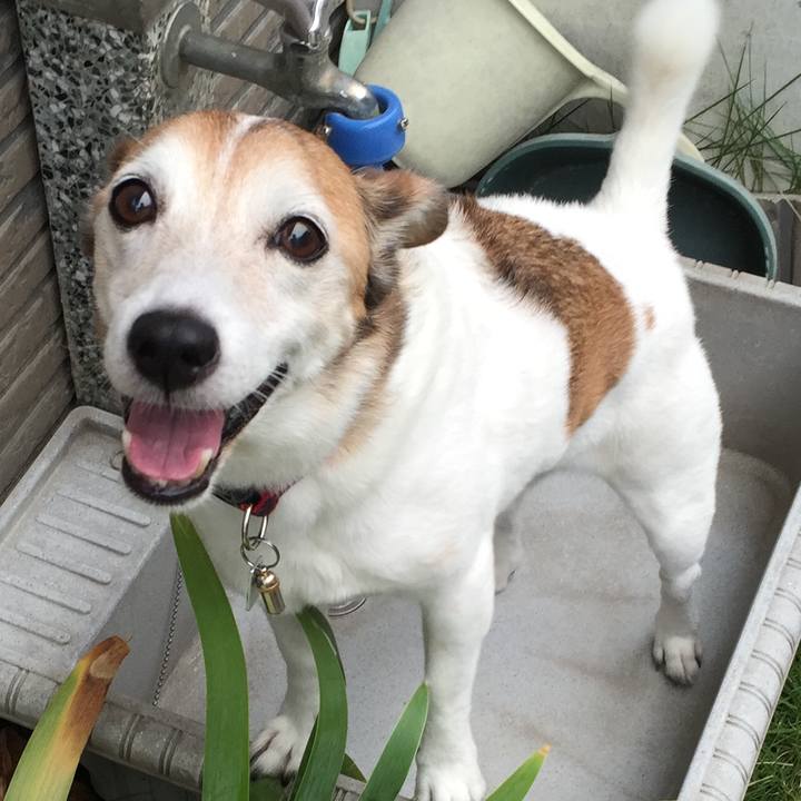 7df716c7 5153 413c ba12 e6db5194825b