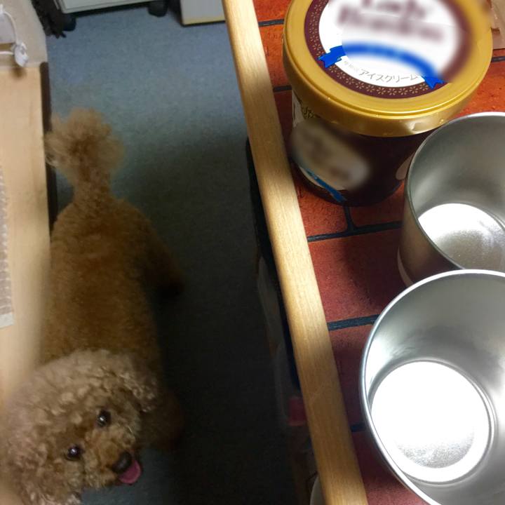 7df7bfa6 7492 41c3 b956 dccd7c008470