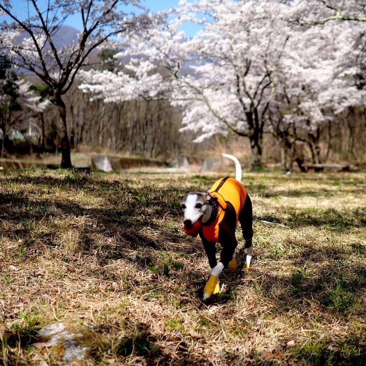 7df7d496 7ce8 49dc bd00 a67bd809127a