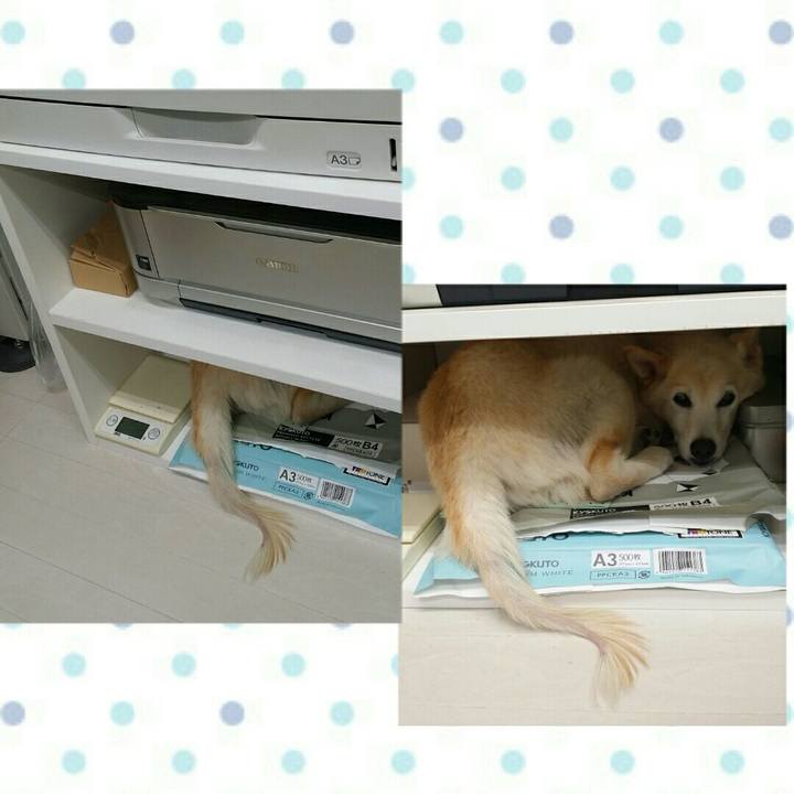 7df849cf c07c 4d8f a04c cc87e903b3c6