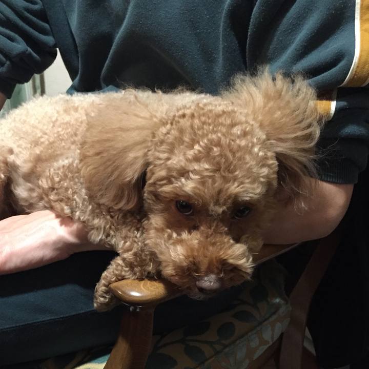 7df8ab77 2033 4ffe 92f0 e83c6cb6952e