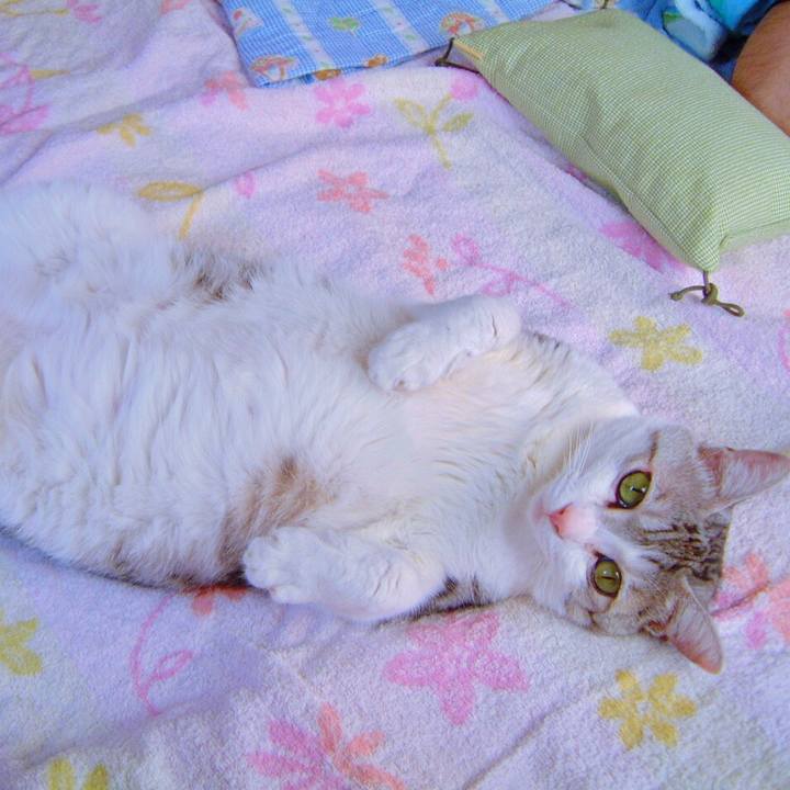 7df8fcb8 e11c 4bea b8bf 8d205640bb47