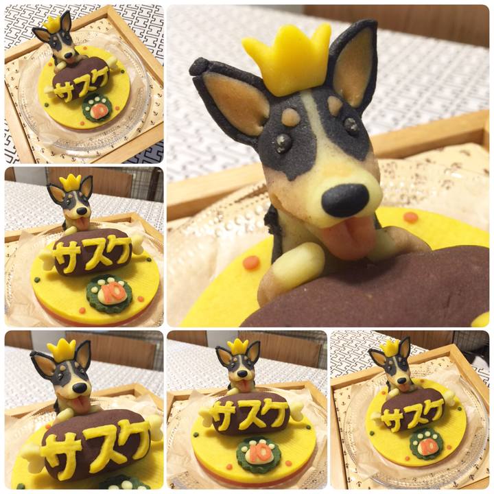 7df9c70a 24e0 4abe ba4f 031215083c9b