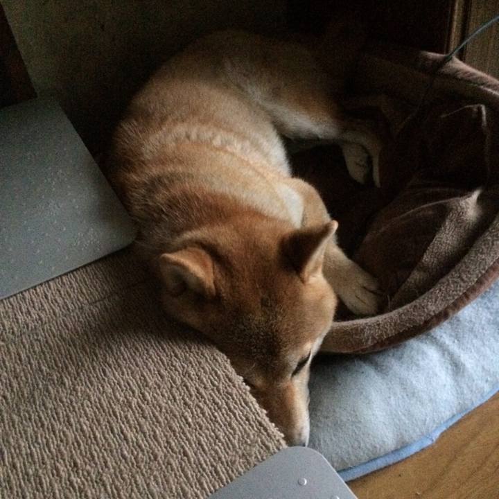 7dfa71af 4b81 4a64 9bb8 8e27514381a0