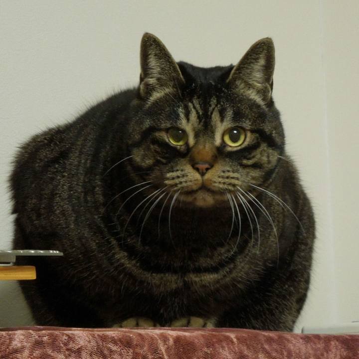 7dfb25ec 79d8 403d b2b2 6c1d35857db4