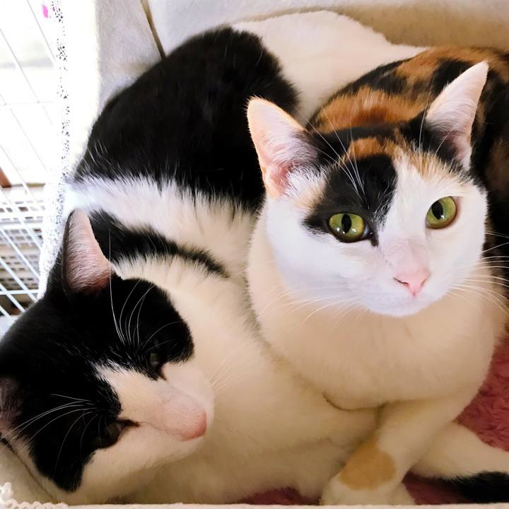 7dfb3899 aa23 4b83 a8b6 62b7b02361b4