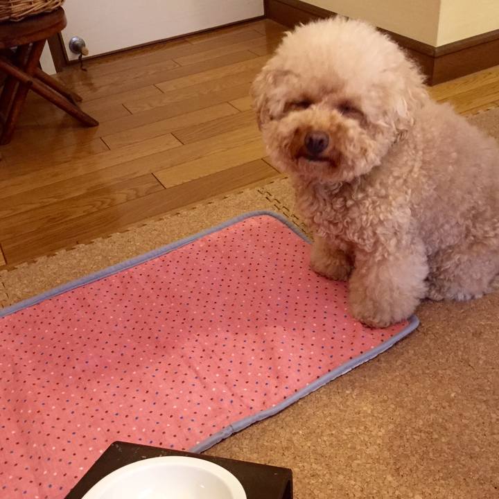 7dfc4c51 e659 42ef aa2a 7caa41999641