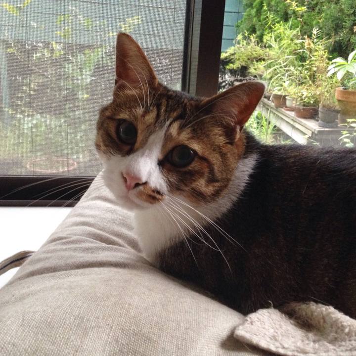 7dfd3a36 4b77 4ace 8742 f93abb720e23