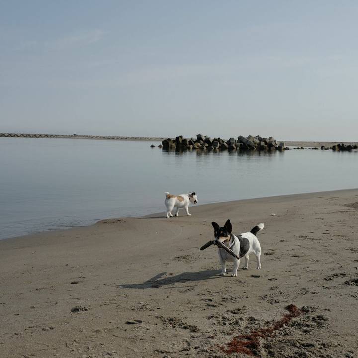 7dfd9a5a e7a8 4d24 9b89 26aa56a063d5