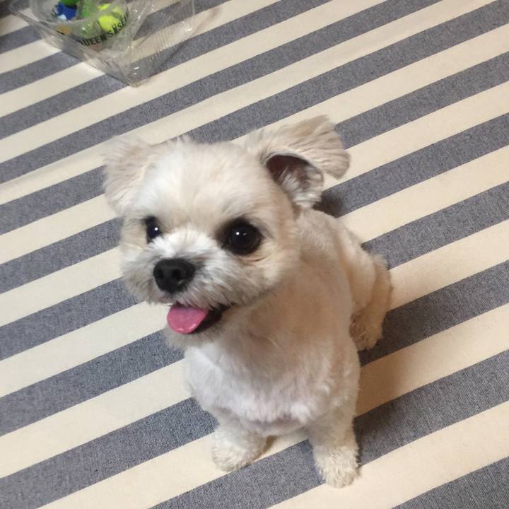 7dfdc7ea 4b98 4600 937f f046591916ad