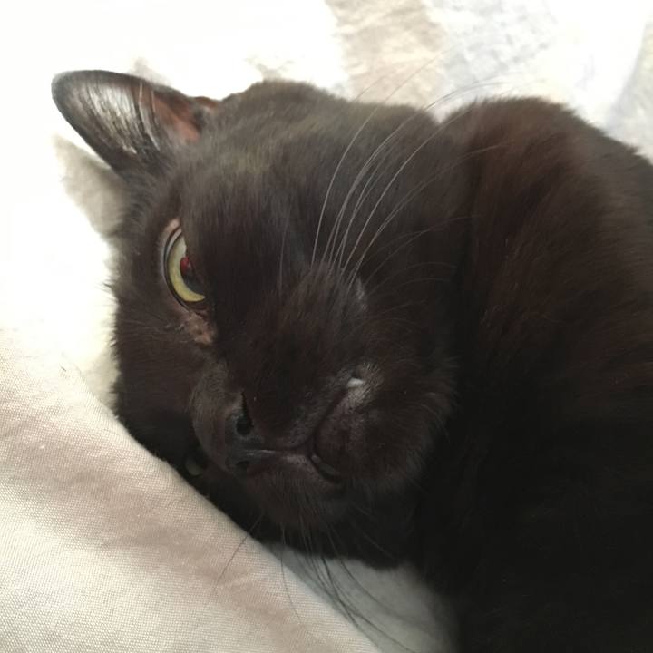 7dfde868 0902 47e9 b0e3 61d69b68d670