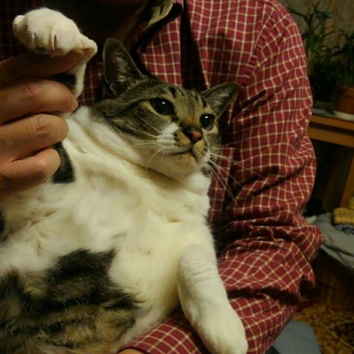 7dfeec77 651b 42ce a549 d4929d91cbb2