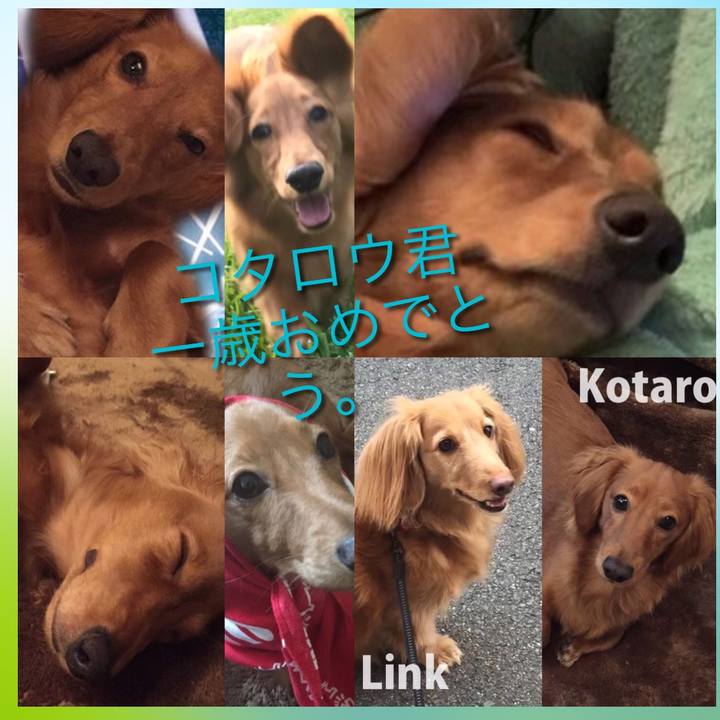 7dffc218 aad4 4a0c a9fa e9cbcb2721a8