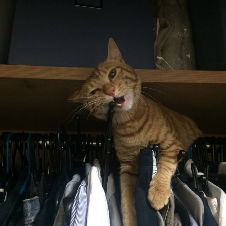 7e002559 deef 400b 999a 1b1f0d275d27