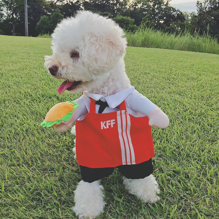 7e004363 260d 4a6a baf3 3b99aa8d2702