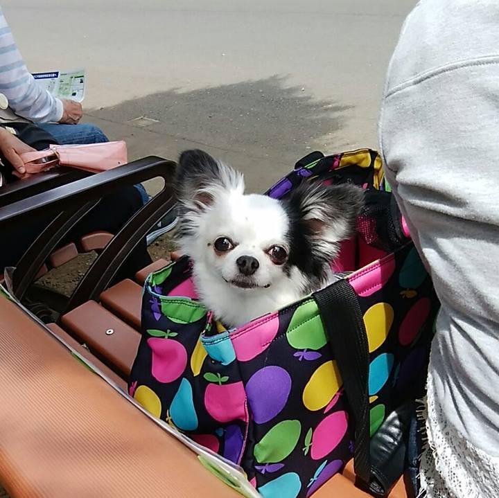 7e0061a5 3649 48cf 8018 228256bbe10d