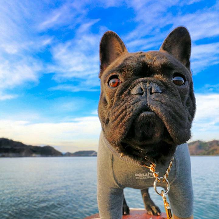 7e006f42 97ec 4155 a7b7 8a1a74d56776