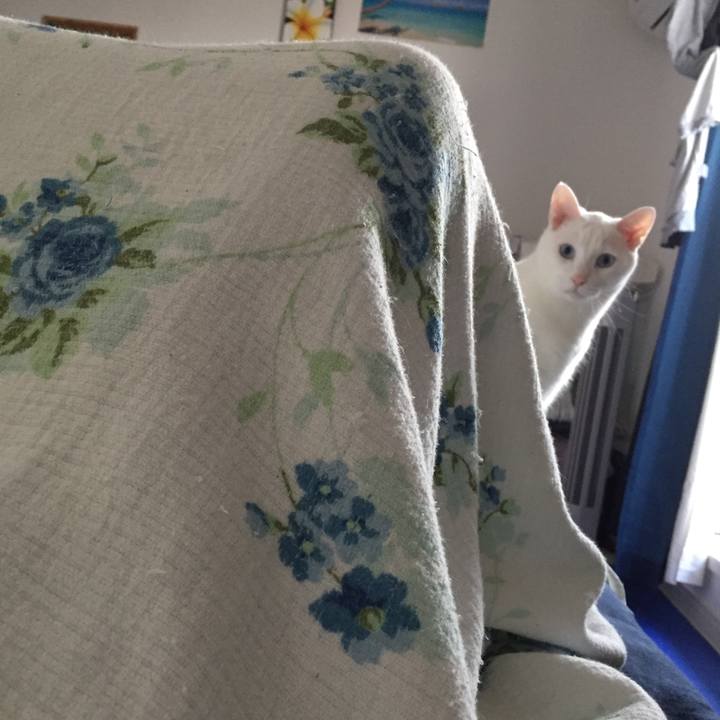 7e00a983 9d08 40b1 a5c4 4c68835c3b86