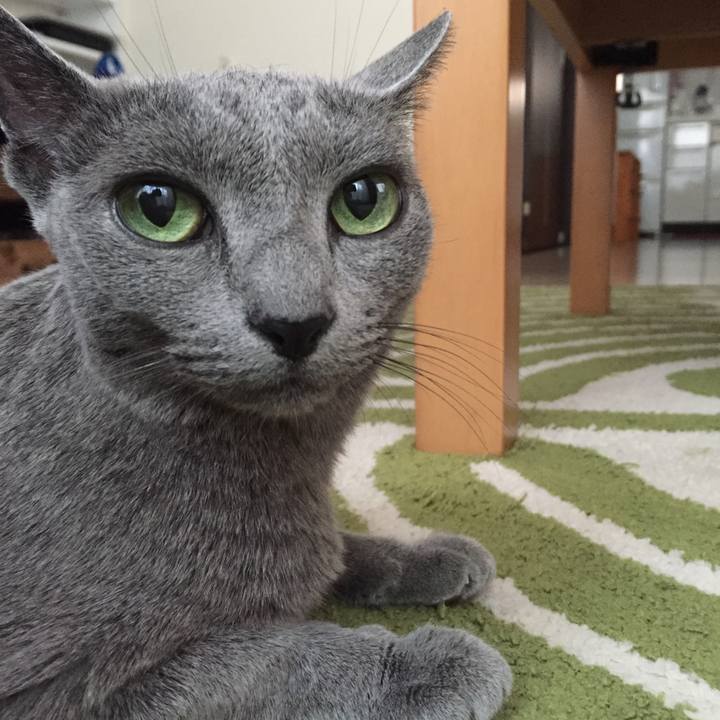 7e013575 3256 41ef 81a7 9c71c5ddcc33