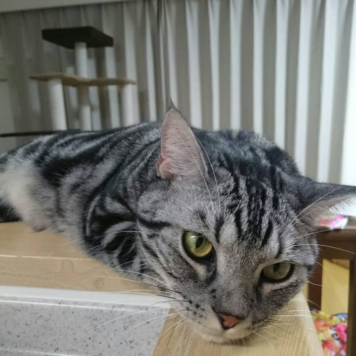 7e015c91 440d 4766 953b 3536132c6ba4